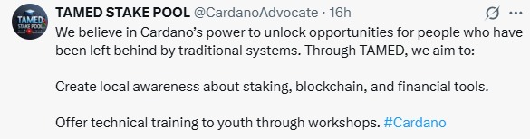 Cardano News Article
